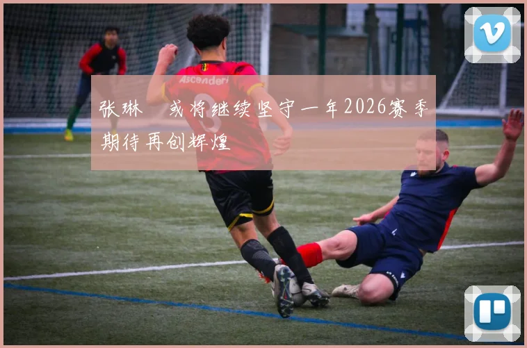 张琳芃或将继续坚守一年2026赛季期待再创辉煌